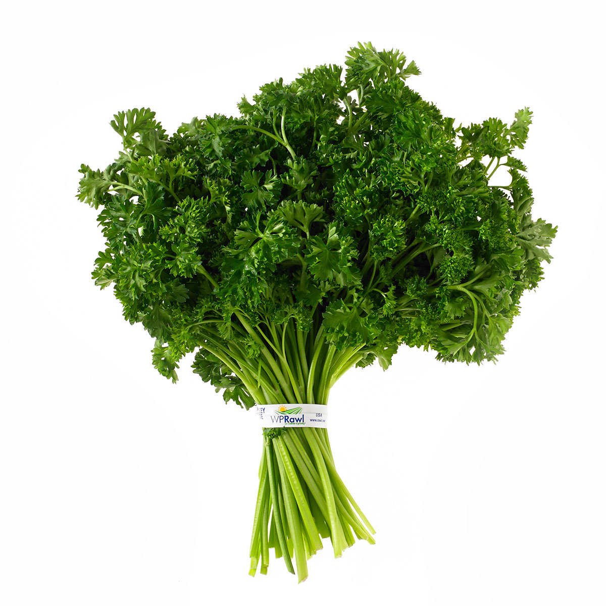 Italian Parsley