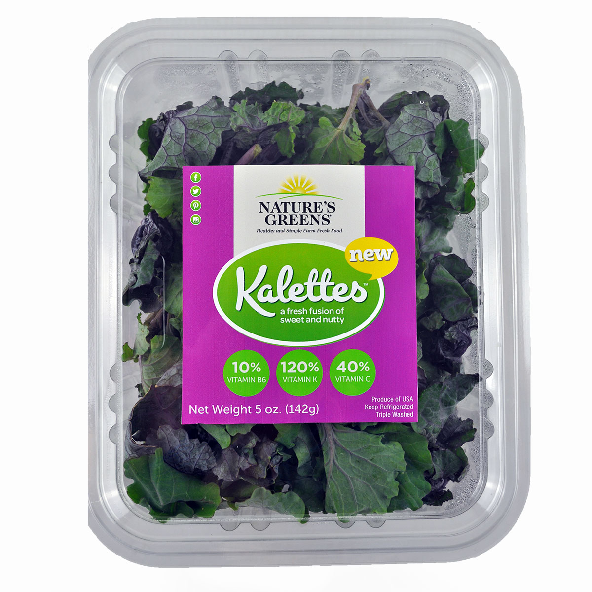 Kale Yeah! Tangy Citrus Salad Kit
