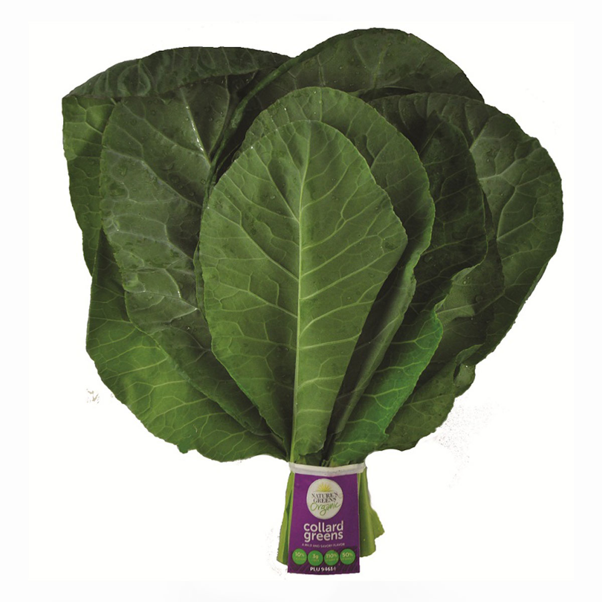 Organic Collard Greens – 1 Bunch – Farm Fresh Carolinas