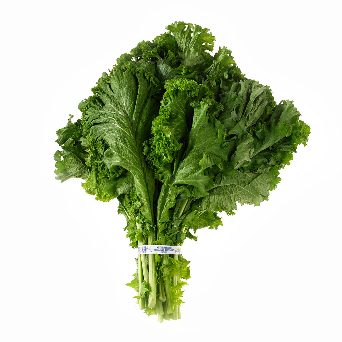 Mustard Greens mustard-greens