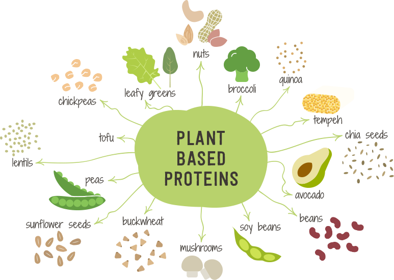 Whole Foods Plant Based Diet Wheat Whole Foods Plant Based Diet Wheat